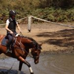 First jump lesson and walking and trotting through the water complex